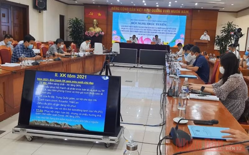 Tìm pháp phát triển ngành nuôi tôm -0