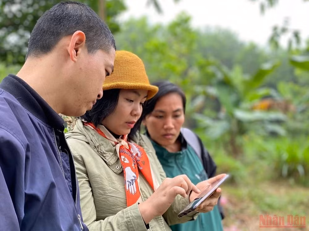 Bài 4: Người đi tìm bình an trong màu xanh của rừng -0