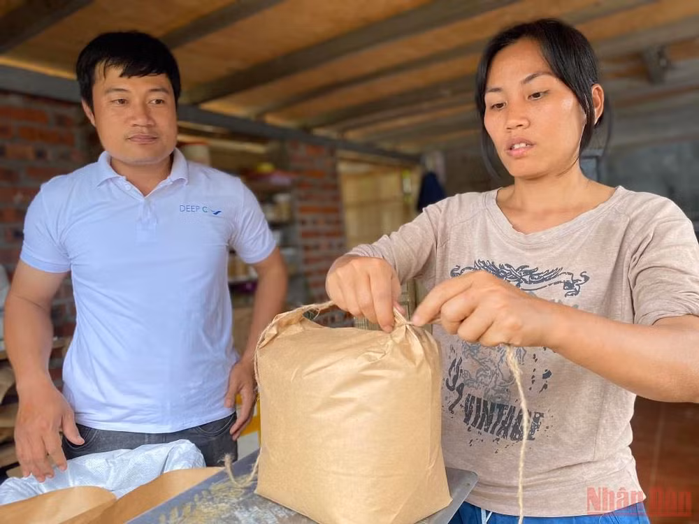 Bài 4: Người đi tìm bình an trong màu xanh của rừng -0