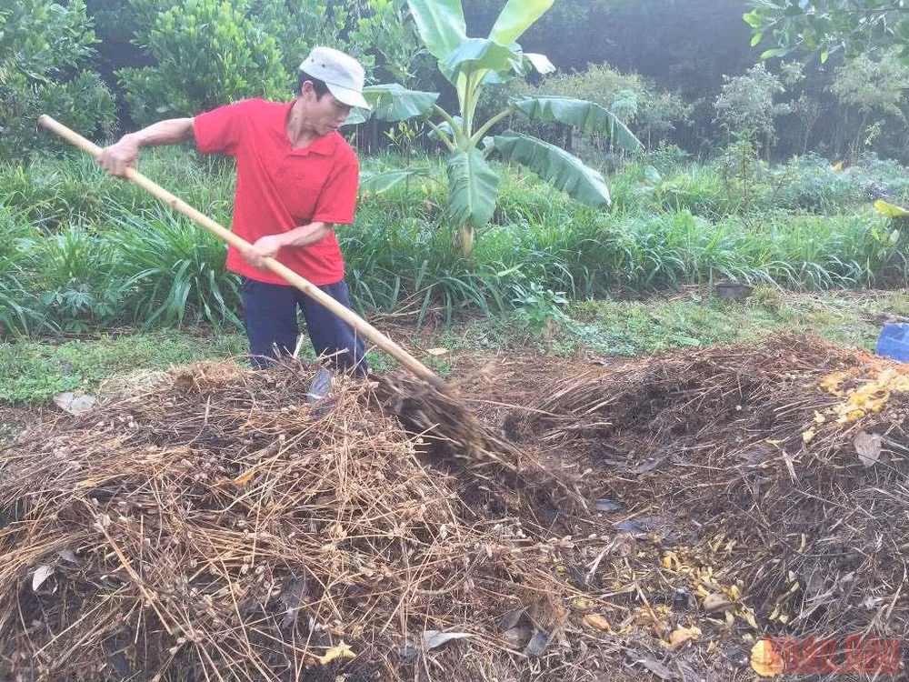 Bài 4: Người đi tìm bình an trong màu xanh của rừng -0