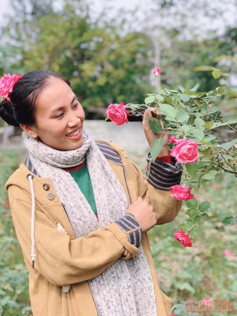 Bài 4: Người đi tìm bình an trong màu xanh của rừng -0