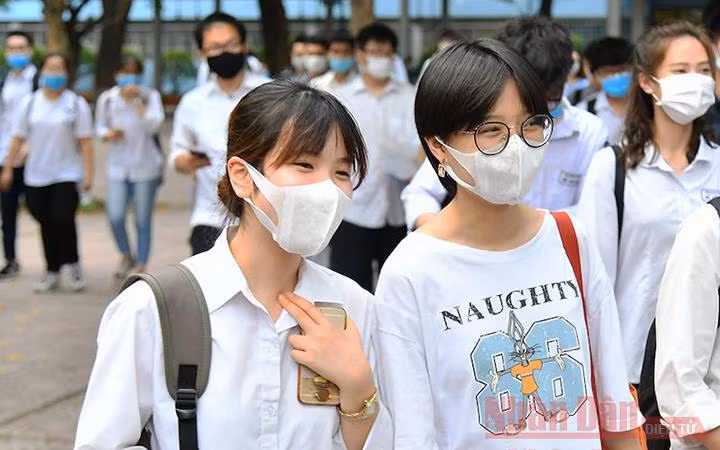 Ảnh minh họa: Thủy Nguyên.