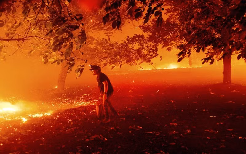 California trong vòng vây của “giặc lửa” -3