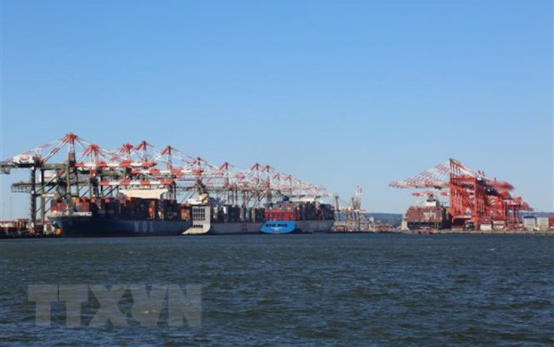 Berenberg Bank ước tính 11% khối lượng container đã chất hàng trên thế giới đang bị giữ lại trong các chuỗi tắc nghẽn tính tới tháng 11. (Ảnh: THX/TTXVN) Chi phí vận chuyển tăng cao - biến số lớn đối với kinh tế toàn cầu -0
