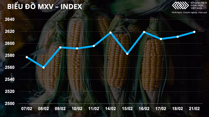 Giá dầu thô tăng mạnh gần 3,5% -0