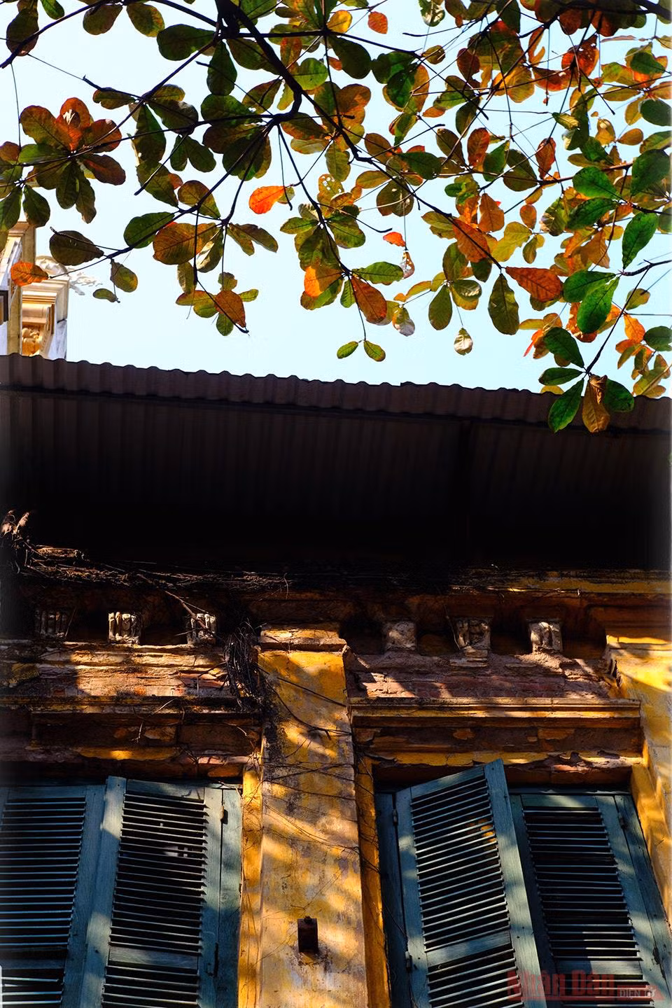 12_Ha_Noi_bang_la_do_1-1610956694374.jpg