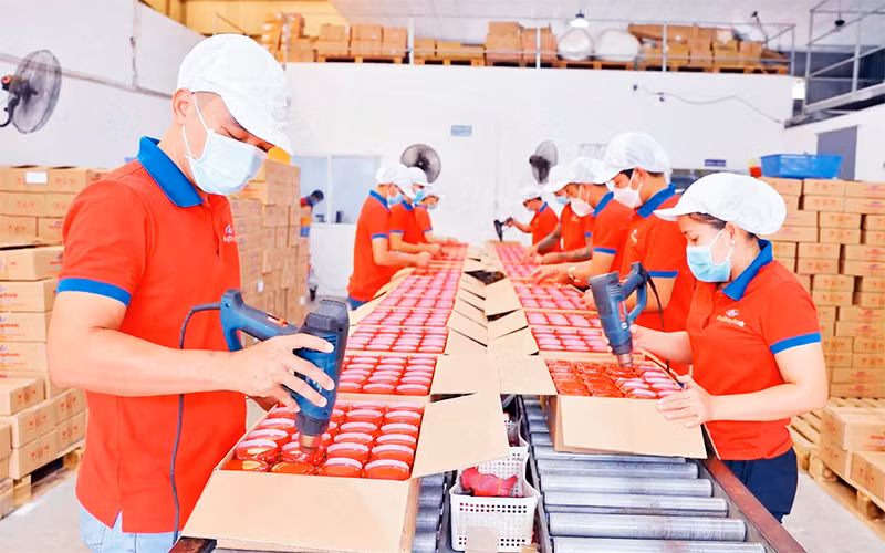 Lao động tại doanh nghiệp Sông Hương Food, TP Hồ Chí Minh. (Ảnh minh họa: Phương Vy)