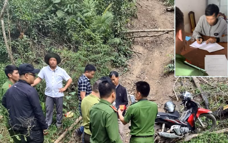 Khởi tố vụ án, tạm giữ ba nghi phạm phá rừng bạch tùng cổ thụ -0