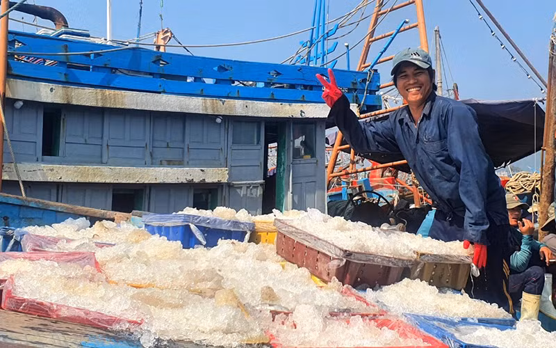 Những hải trình mang vị đời thấm ngọt -0