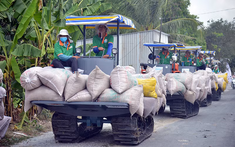 Đón thời cơ tăng trưởng xuất khẩu gạo -0