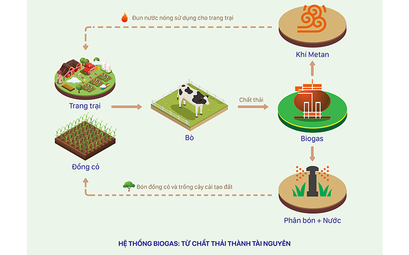 Sơ đồ về hệ thống Biogas tại các trang trại bò sữa Vinamilk. Vinamilk đầu tư hệ thống điện mặt trời tại 12 trang trại 4.0 -0