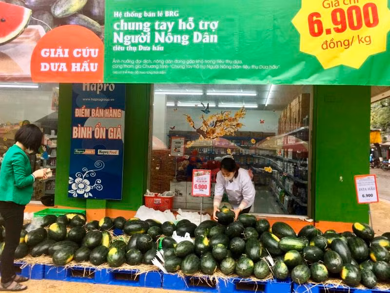 Siêu thị Hapromart Thành Công (Hà Nội) hỗ trợ nông dân tiêu thụ dưa hấu.