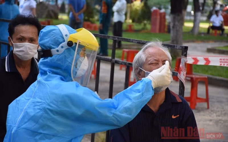 Đà Nẵng tiến hành xét nghiệm đại diện hộ gia đình trên toàn thành phố. (Ảnh: ANH ĐÀO) 