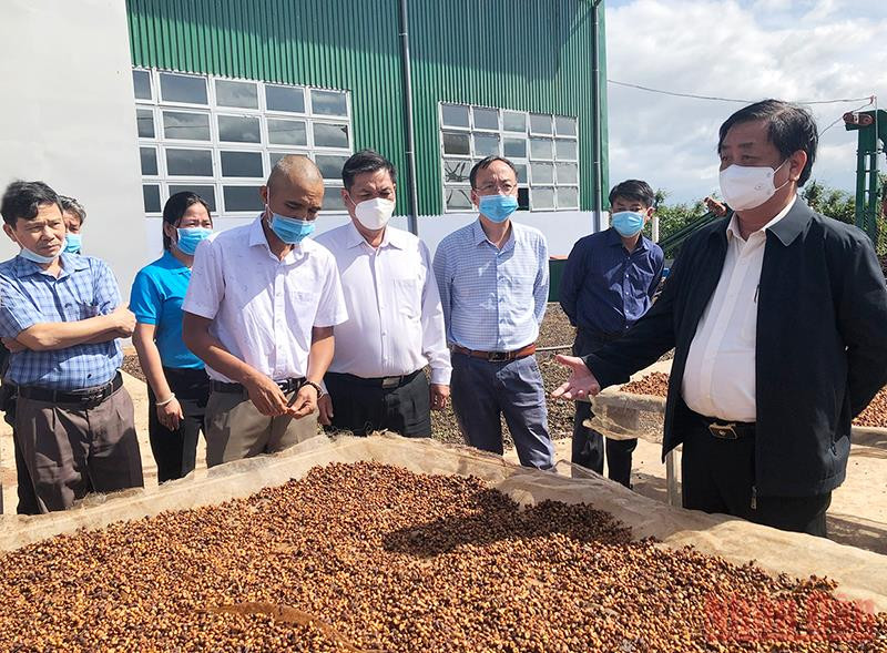 Bộ trưởng Nông nghiệp và Phát triển nông thôn Lê Minh Hoan thăm Hợp tác xã Nông nghiệp và Dịch vụ Nam Yang (huyện Đắk Đoa, tỉnh Gia Lai). “Ngành hàng cà-phê Việt Nam muốn đi xa phải đi cùng nhau…” -0