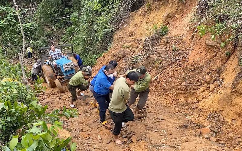 Tuổi trẻ Quảng Ngãi góp sức phục hồi rừng đầu nguồn -0