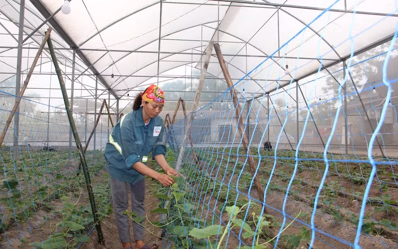 Trên quê hương đồng chí Hà Huy Tập -0