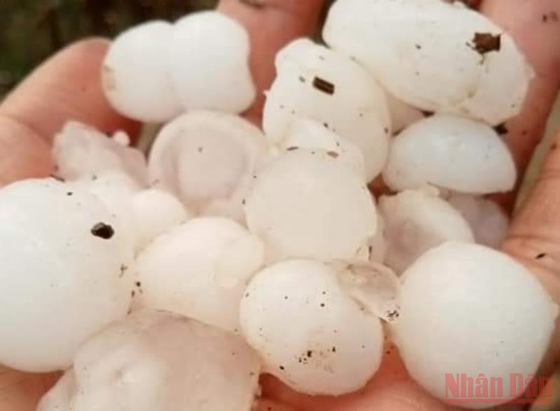 Mưa đá tại một số xã của huyện Bắc Yên. Hai người thương vong do bị sét đánh tại Sơn La -0