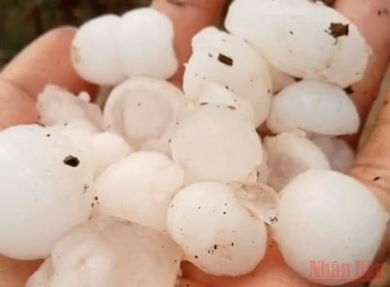 Hai người thương vong do bị sét đánh tại Sơn La -0