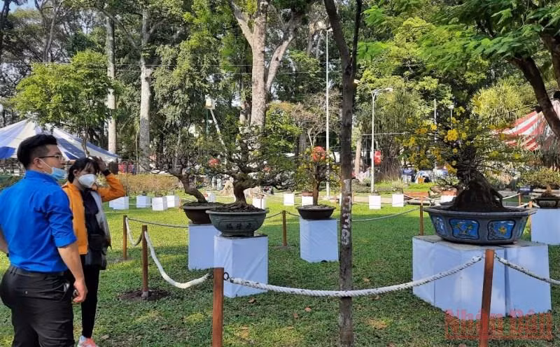 Thành phố Hồ Chí Minh khai mạc Hội hoa Xuân Nhâm Dần 2022 -0