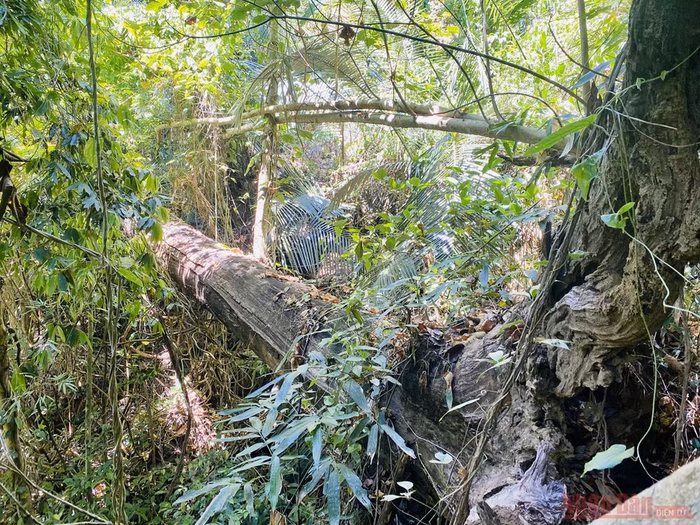 Ấn tượng thiên nhiên Di sản ASEAN trên dãy Trường Sơn -0