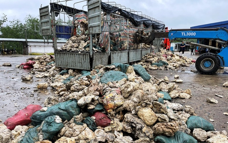 Bãi chất thải rắn chứa mủ cao-su của Công ty TNHH một thành viên cao-su Huy Anh không được xử lý đúng quy định. (Ảnh: Công an cung cấp) Phát hiện công ty xả chất thải rắn ra môi trường tại Thừa Thiên Huế -0