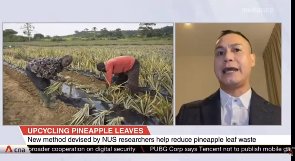 Biến lá dứa vô dụng thành chất bảo quản thực phẩm và xử lý nước thải -0