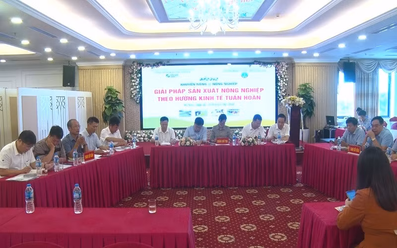 Các đại biểu tham gia diễn đàn.