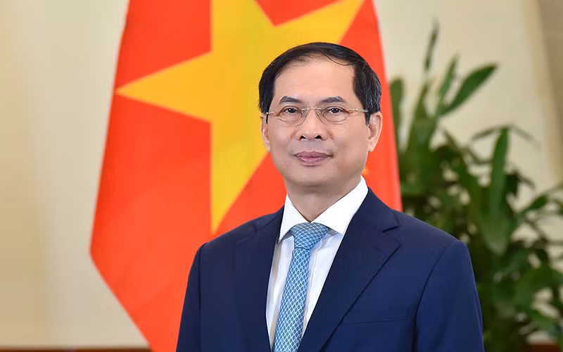 Bộ trưởng Ngoại giao Bùi Thanh Sơn. (Ảnh: Bộ Ngoại giao)