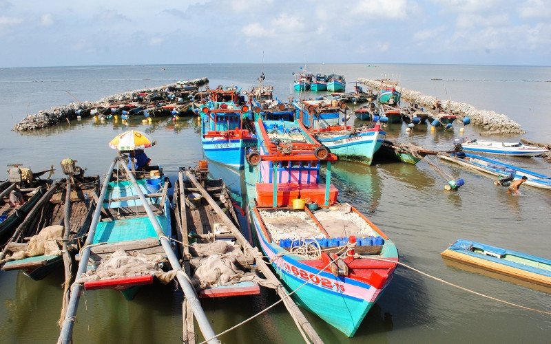 Cà Mau chỉ đạo chấn chỉnh tình trạng tàu cá không lắp đặt thiết bị giám sát hành trình. HN_6-1606564071534.jpg