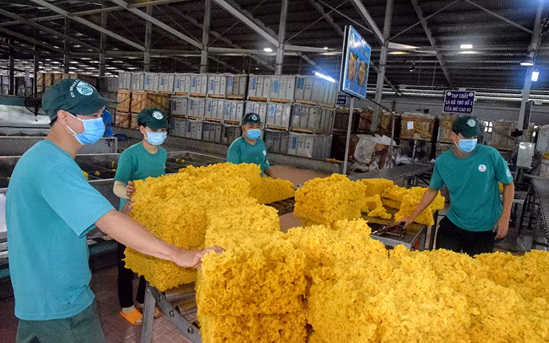 Tiếp nối truyền thống “Phú Riềng đỏ”