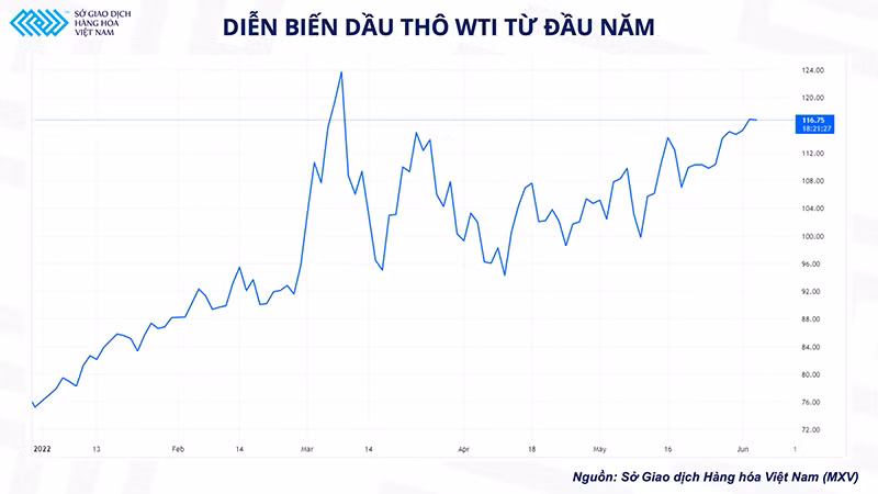 Giá dầu thô thế giới sẽ biến động ra sao sau cuộc họp của OPEC+ ? -0
