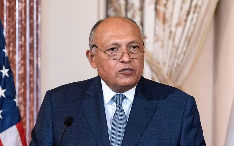 Ngoại trưởng Ai Cập Sameh Shoukry trong cuộc đối thoại chiến lược Mỹ-Ai Cập tại Washington, ngày 8/11/2021. (Ảnh: Reuters)