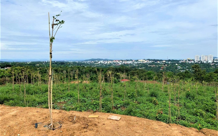 Khu vực đang xây dựng trái phép ở TP Buôn Ma Thuột. Xử phạt trường hợp xây dựng trái phép trong khu quy hoạch đất rừng cảnh quan ở TP Buôn Ma Thuột -0