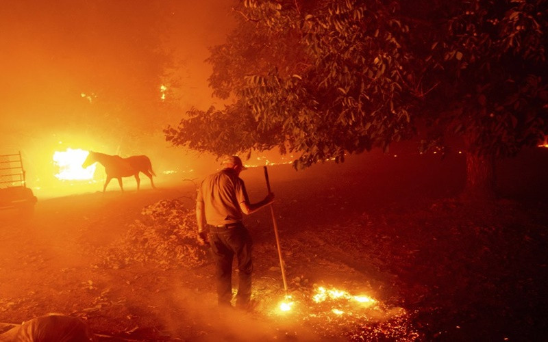 California trong vòng vây của “giặc lửa” ảnh 1 California trong vòng vây của “giặc lửa” -0