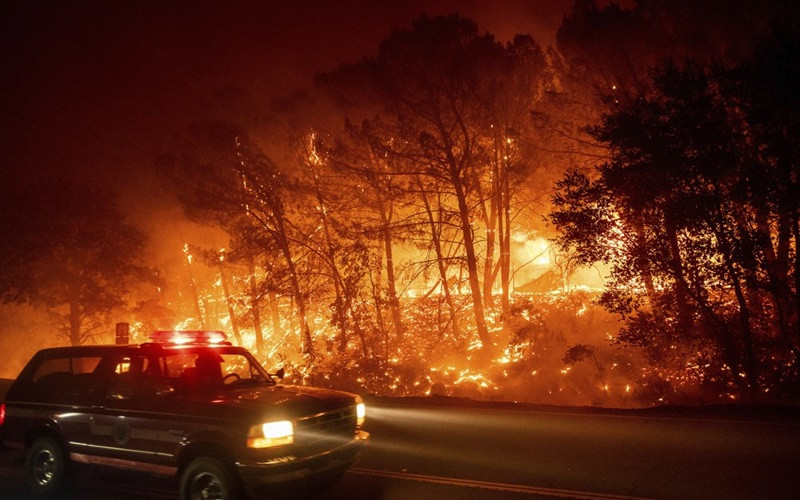 California trong vòng vây của “giặc lửa” ảnh 6 California trong vòng vây của “giặc lửa” -6