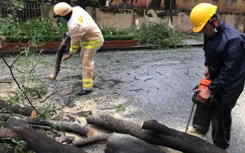 Cảnh sát giao thông cùng nhân viên Công ty Cây xanh thành phố kịp thời có mặt, xử lý sự cố cây xanh gãy đổ.