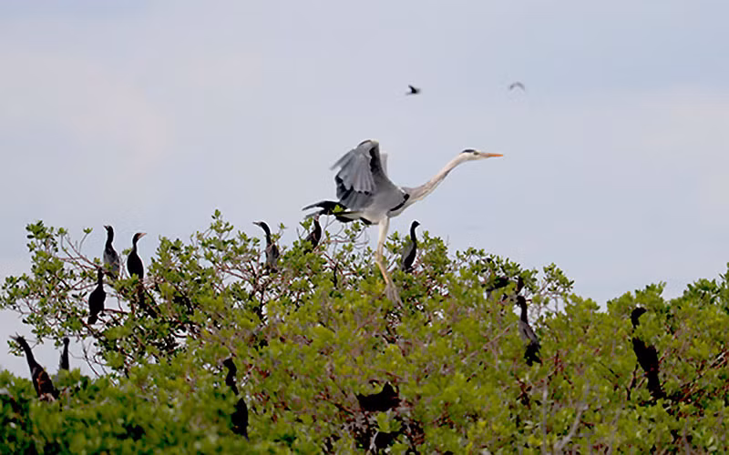 Hai ngày ở xứ biển, đảo Kiên Giang -0