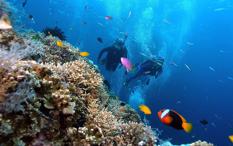 Lặn biển ở khu vực đảo Hòn Mun, Nha Trang (Khánh Hòa).