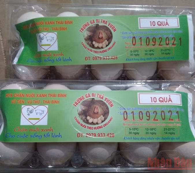 Khó khăn trong mở rộng thị trường nông sản ở Thái Bình -0