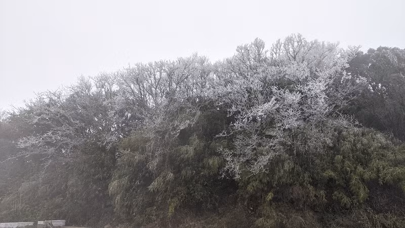 Đỉnh Phja Oắc (Cao Bằng) âm 6 độ C, băng phủ trắng núi rừng -0