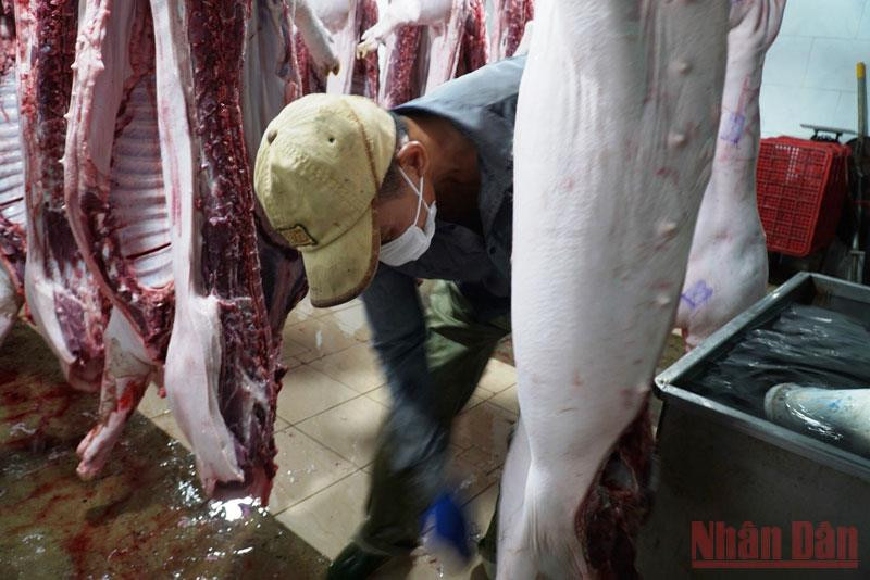 Công ty TNHH MTV Chế biến thực phẩm Đà Nẵng bị phạt gần 183 triệu đồng vì xả nước thải vượt quy chuẩn 3 lần. Phạt gần 183 triệu đồng công ty xả nước thải vượt quy chuẩn 3 lần -0