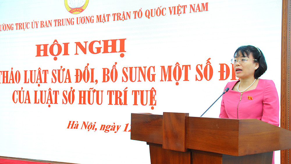 Phó Chủ nhiệm Ủy ban Pháp luật của Quốc hội Nguyễn Thị Mai Phương. Ảnh: Kỳ Anh Sửa đổi Luật Sở hữu trí tuệ để phát triển và hội nhập -0
