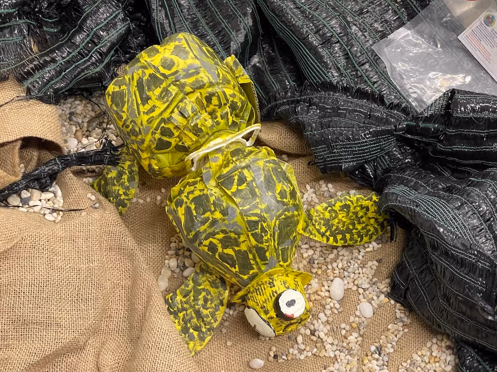 Nâng cao nhận thức về giảm thiểu rác thải nhựa -4