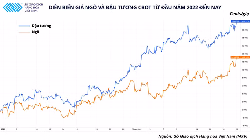 Ngành chăn nuôi Việt Nam: Thích nghi là giải pháp sống còn -0
