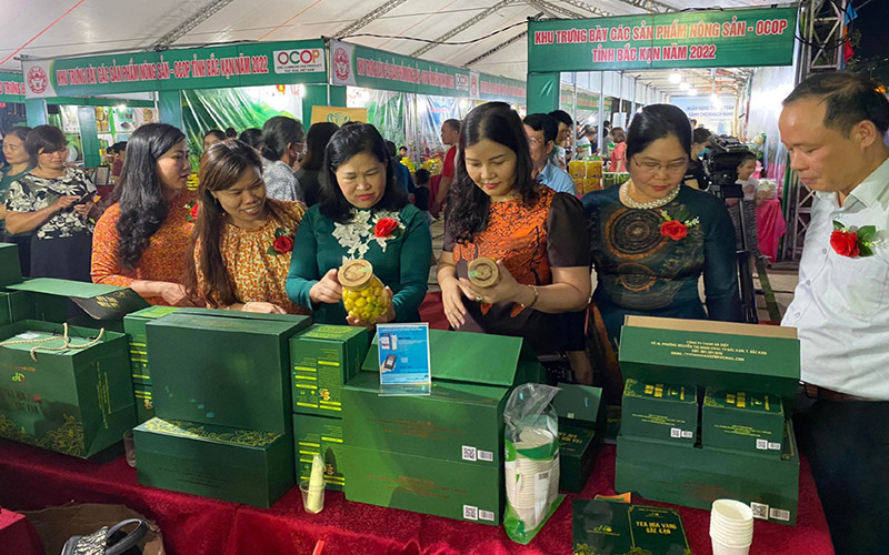 Các gian hàng trưng bày nhiều sản phẩm đặc sản, độc đáo. 