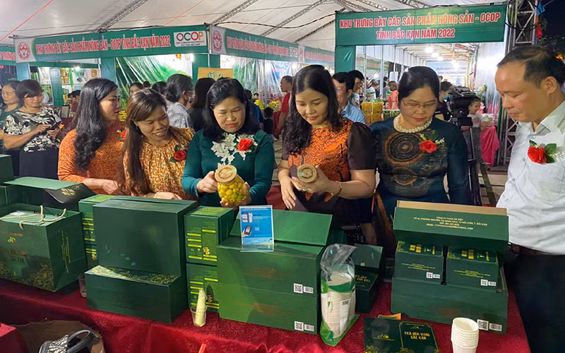 Các gian hàng trưng bày nhiều sản phẩm đặc sản, độc đáo. 