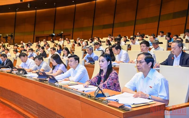 Các đại biểu Quốc hội tham dự phiên họp sáng 24/5. (Ảnh: LINH KHOA)