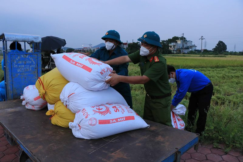 Công an thu hoạch lúa giúp dân tại xã phường Khắc Niệm. Lá chắn vững vàng nơi tâm dịch Bắc Ninh -0