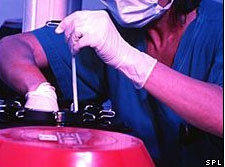 Các phôi thai có thể bị hỏng
trong quá trình đông lạnh.