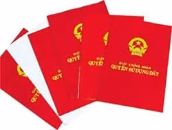 Hàng nghìn sổ đỏ của người dân<br>ở thị xã Đồng Xoài đã được cấp<br>thông qua con đường dịch vụ.